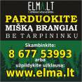 Parduok mišką brangiai