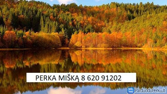 PERKA MIŠKĄ +370 620 91202