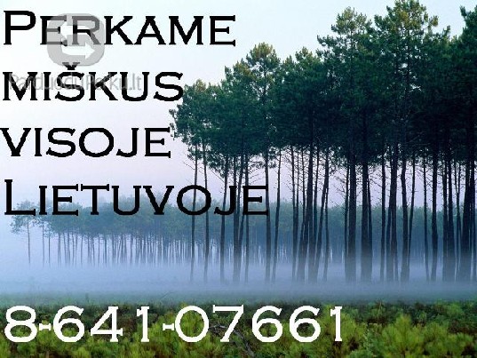 Brangiai mišką VISOJE Lietuvoje!!