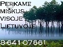 Brangiai mišką VISOJE Lietuvoje!!