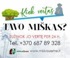 Perkame miškus visoje Lietuvoje