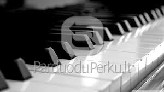 Profesionalios fortepijono (pianino) pamokos