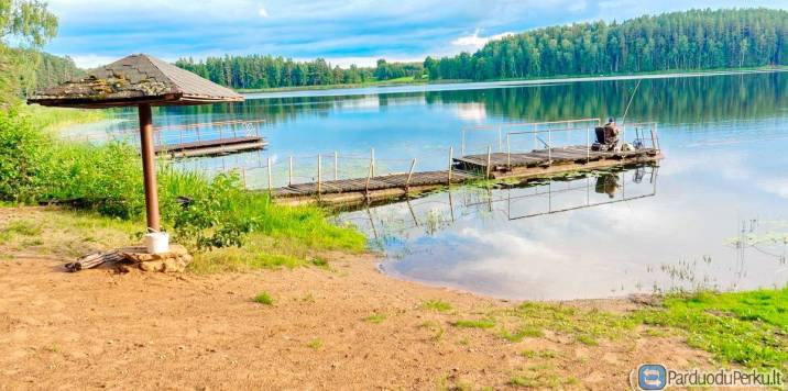 Rokiškio r. sav., Bradėsių k. namas netoli ežero Nr. 184