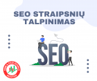 SEO straipsnių talpinimas