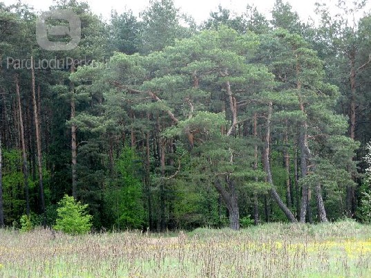 Sklypo visoje Lietuvoje