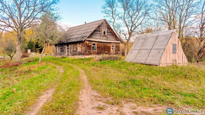 VIENKIEMIS MIŠKE NETOLI EŽERO PRIE DŪSETŲ. NR. 737