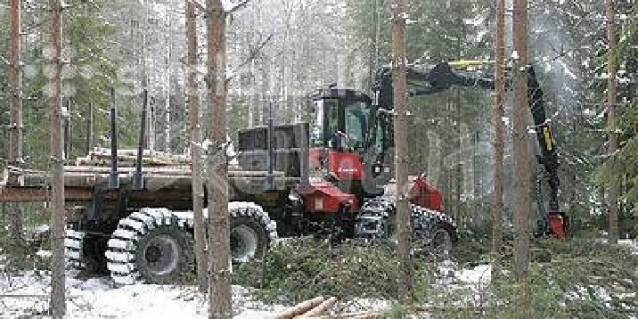 Visoje lietuvoje perkame miškus