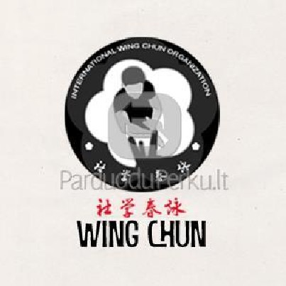 Wing Chun Kung Fu