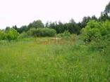 Parduodamas 6,7 ha žemės sklypas Kalvelių k., Marijampolio sen., V