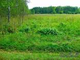 Žemės sklypas Lapeikių vs., Sužonių sen., Vilniaus raj.