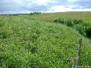 Žemės sklypas Vaivadiškių k., Zujūnų sen., Vilniau